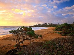 Donkey Beach, Kauai, Hawaii